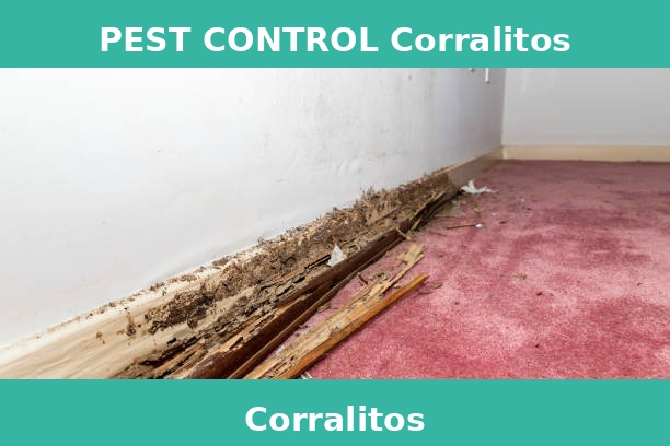 PEST CONTROL Corralitos